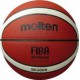 Molten Top Training Basket Bal BG3800 - Maat 7